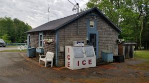 Wooden campground utility shack in Acadia National Park with blue trim, a white ice chest outside, flowering pots, benches, and gravel.