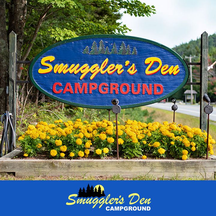 Blue oval campground sign with yellow script and red lettering sits among marigolds beside a road in Acadia National Park.