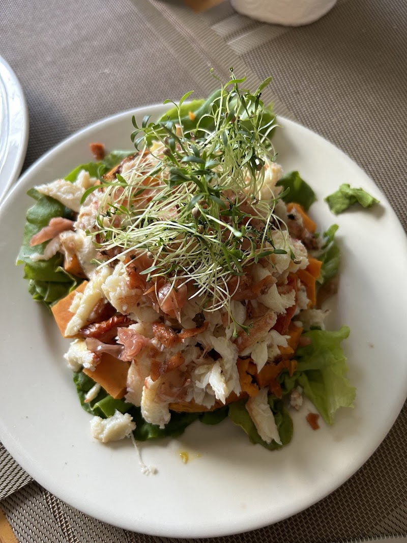Seasonal salad plate from Acadia National Park restaurant, piled with greens, shredded veggies, and delicate microgreens on top.