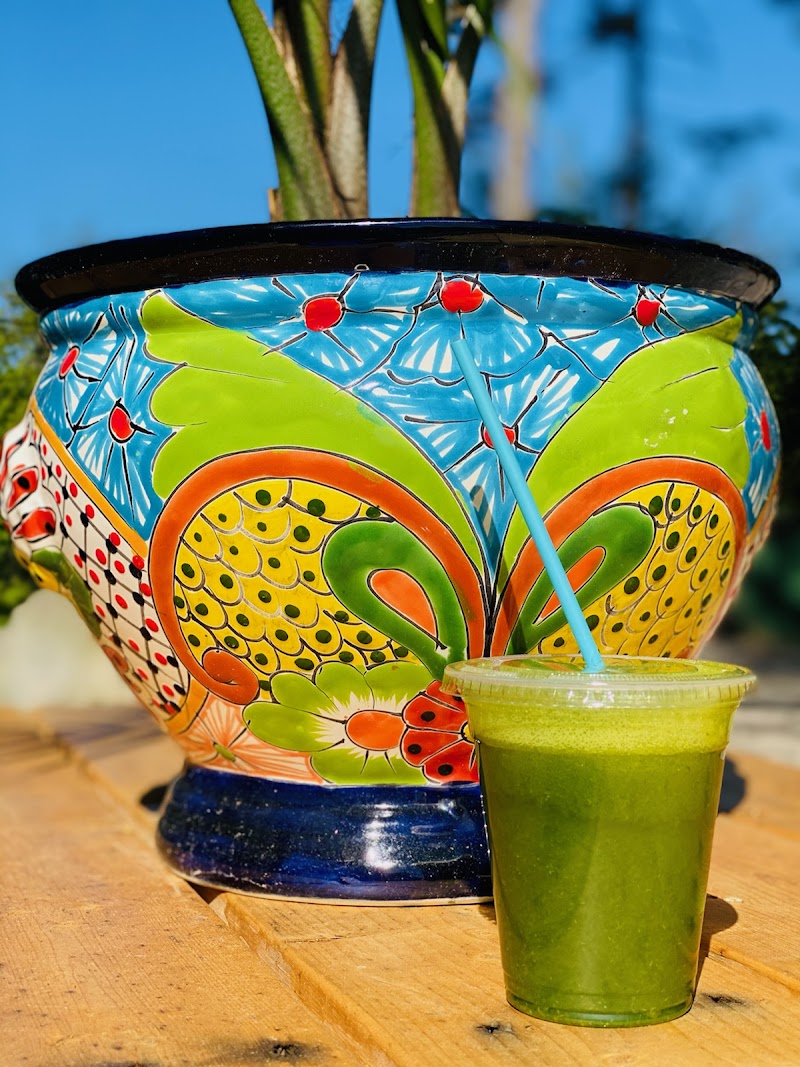 Colorful ceramic planter with a leafy plant behind a green smoothie cup with a blue straw on a wooden table, Acadia National Park.