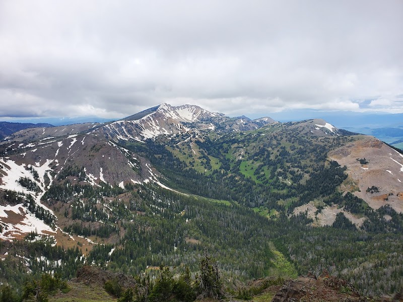 Snow-dusted Sawtell Peak rises above green forests and a winding valley in Yellowstone National Park under a cloudy sky.