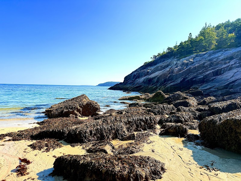 Rugged rocky shoreline with dark seaweed along a sandy beach, blue Atlantic, and forested cliff in Acadia National Park.