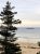 Ocean Path Trailhead along Acadia National Park's shoreline, with a sandy beach, calm sea, and a pine in the foreground.
