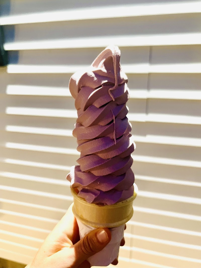 Purple soft-serve ice cream cone from Blueberry Hill Dairy Bar in Acadia National Park.