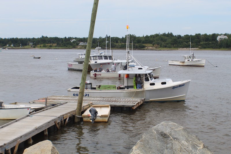 Milbridge harbor at Acadia National Park shows fishing boats docked along a wooden pier.