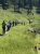 Hikers walk a narrow dirt trail beside Trout Lake in Yellowstone National Park, with green grass, trees, and calm water.