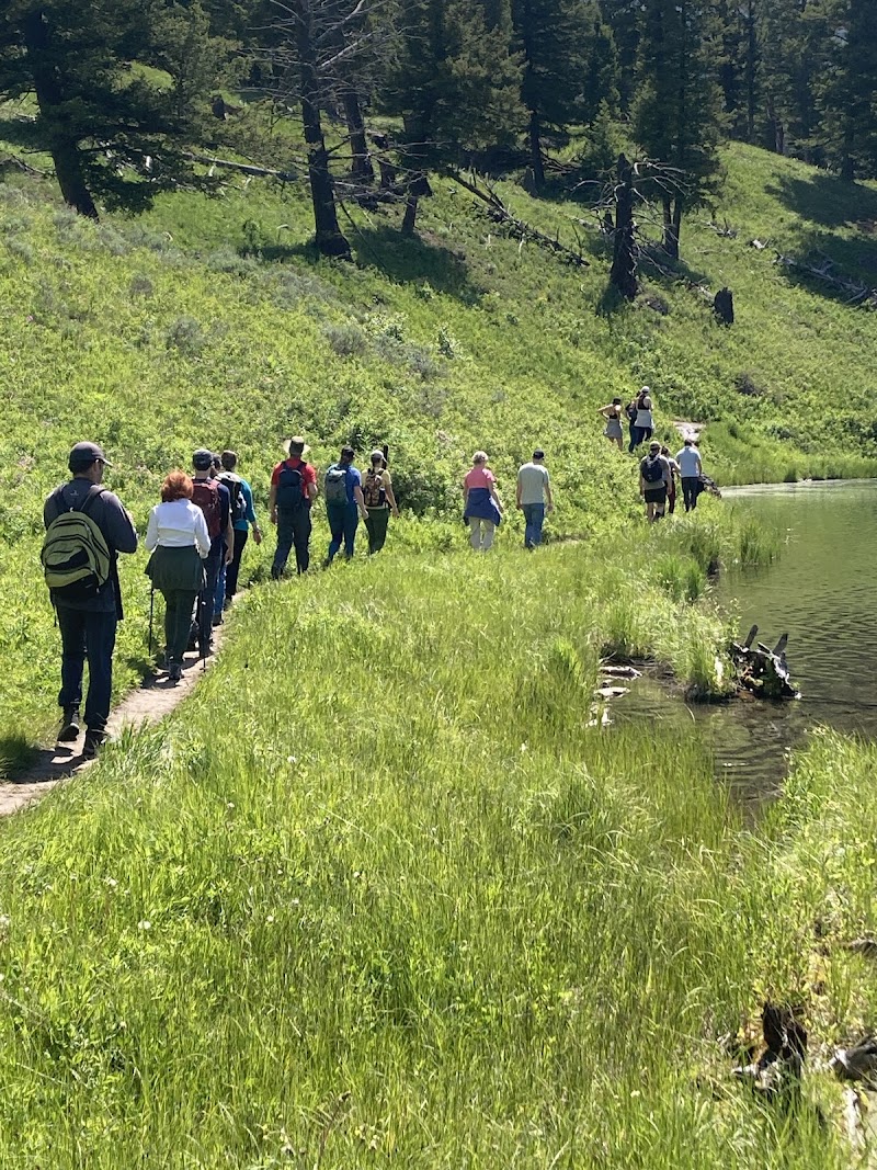 Hikers walk a narrow dirt trail beside Trout Lake in Yellowstone National Park, with green grass, trees, and calm water.