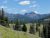 Meadow with evergreen trees and rolling hills, leading to rugged peaks in Yellowstone National Park under a clear blue sky.