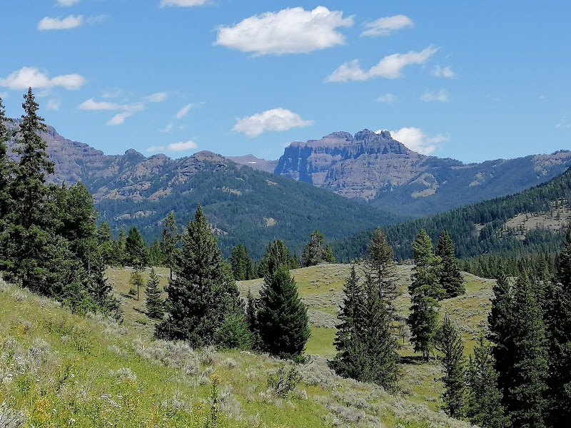 Meadow with evergreen trees and rolling hills, leading to rugged peaks in Yellowstone National Park under a clear blue sky.