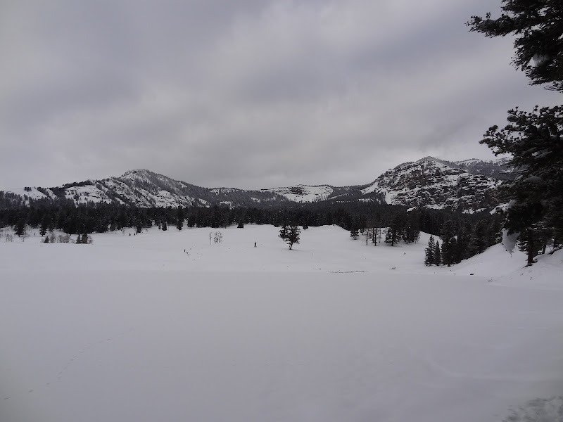 Snowy Trout Lake under an overcast sky with pine trees and snow-covered mountains in Yellowstone National Park.