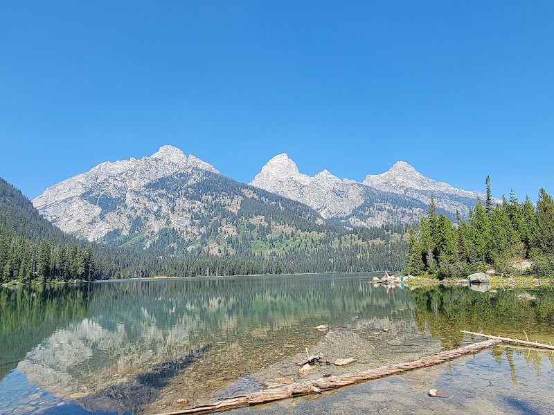 Clear blue sky over rugged mountain peaks and pine forest reflected in a lake, with a fallen log near the shore, Yellowstone National Park.