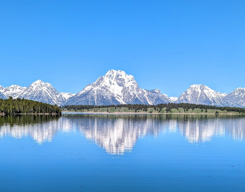 Snowy Grand Teton peaks rise above a calm lake with a pine shoreline and clear blue sky, reflected across the water in Yellowstone National Park.
