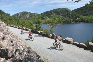 Three cyclists ride a gravel path along a rocky shoreline with pine trees and a lake in Acadia National Park.