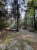 Green tent on a wooden platform with a picnic table and car parked nearby among pine trees at Acadia National Park.