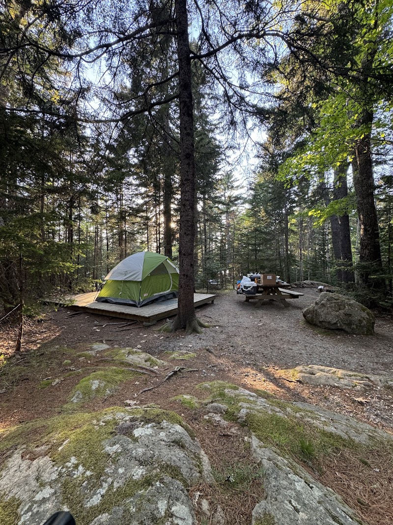 Green tent on a wooden platform with a picnic table and car parked nearby among pine trees at Acadia National Park.