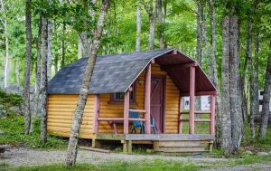 Patten Pond Campground cabin in Acadia National Park, nestled among birch trees and pines.
