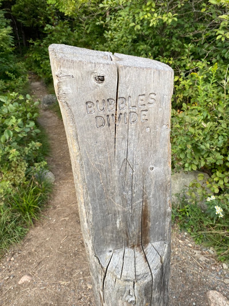 Weathered split wooden trail post carved with BUBBLES DIVIDE beside a dirt path and green shrubs, Acadia National Park.