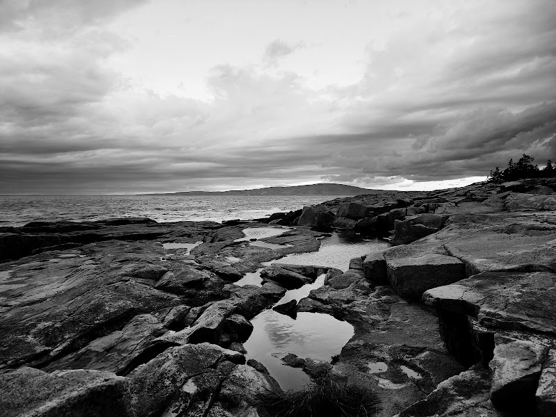 Schoodic Point rocky coastline at Acadia National Park, with jagged rocks, tidal pools, and dramatic overcast skies.