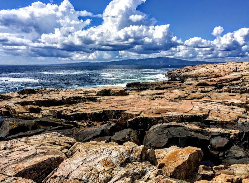 Schoodic Point coast along Acadia National Park features jagged granite rocks meeting the Atlantic.