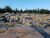 Schoodic Point rocky shoreline in Acadia National Park showcasing rugged coast and spruce trees.