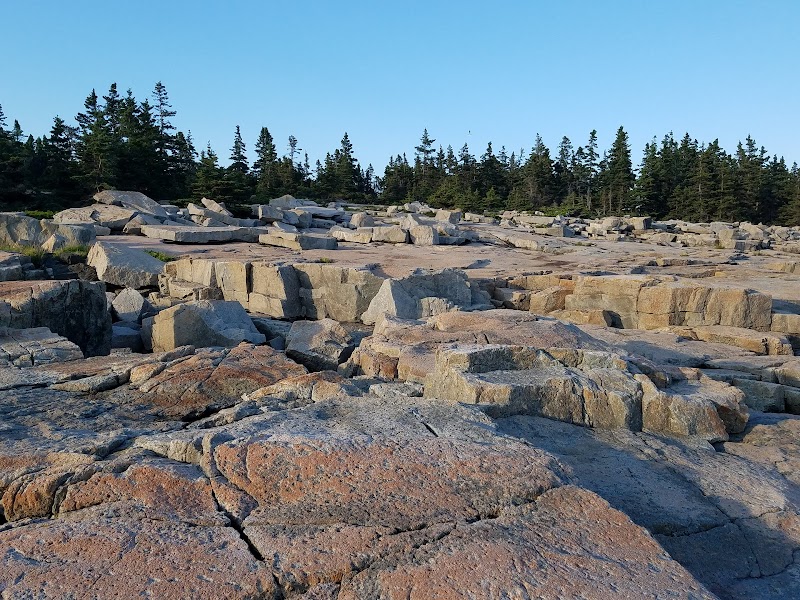 Schoodic Point rocky shoreline in Acadia National Park showcasing rugged coast and spruce trees.