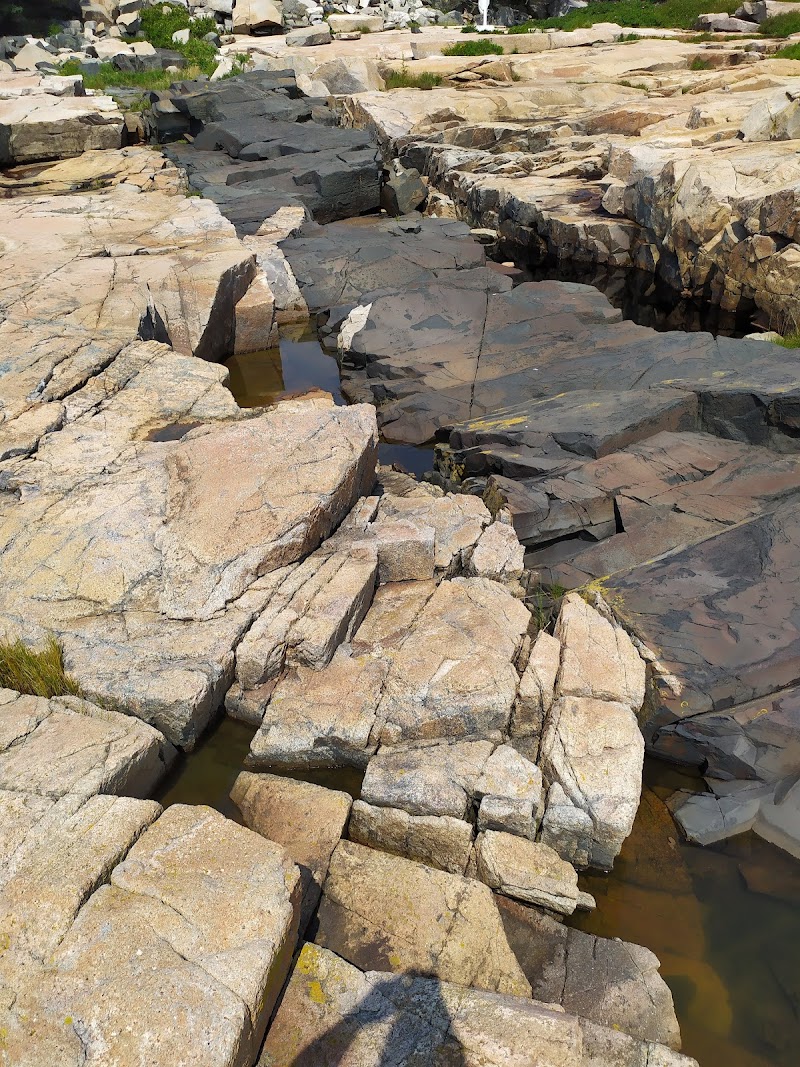 Schoodic Point shoreline in Acadia National Park features rugged granite slabs and tidal pools along the rocky coast.