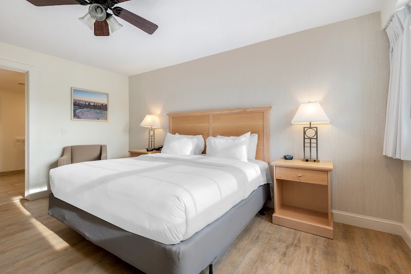 Bright motel room in Acadia National Park with a king bed, white bedding, two nightstands, lamps, ceiling fan, and a chair by the doorway.
