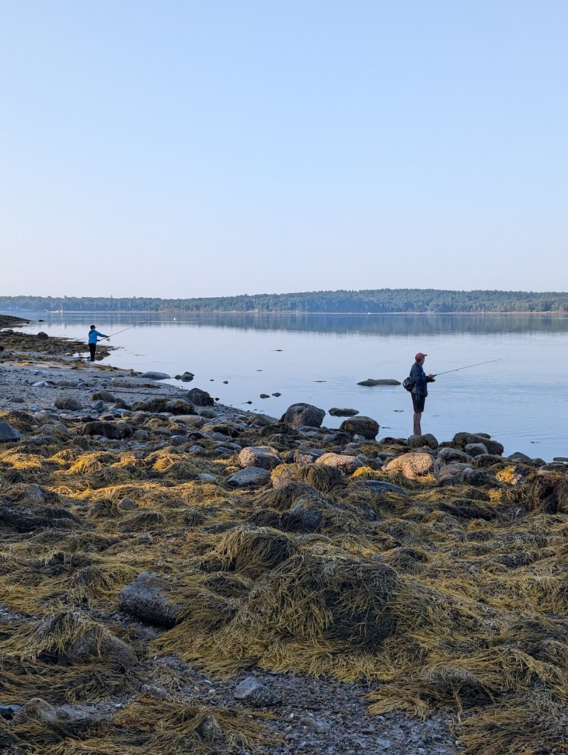 Two anglers fish along the Reach Knolls shoreline in Acadia National Park, among seaweed-covered rocks and calm water.