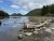 Rocky Bar Harbor shoreline in Acadia National Park with driftwood and calm water along a pebble beach.