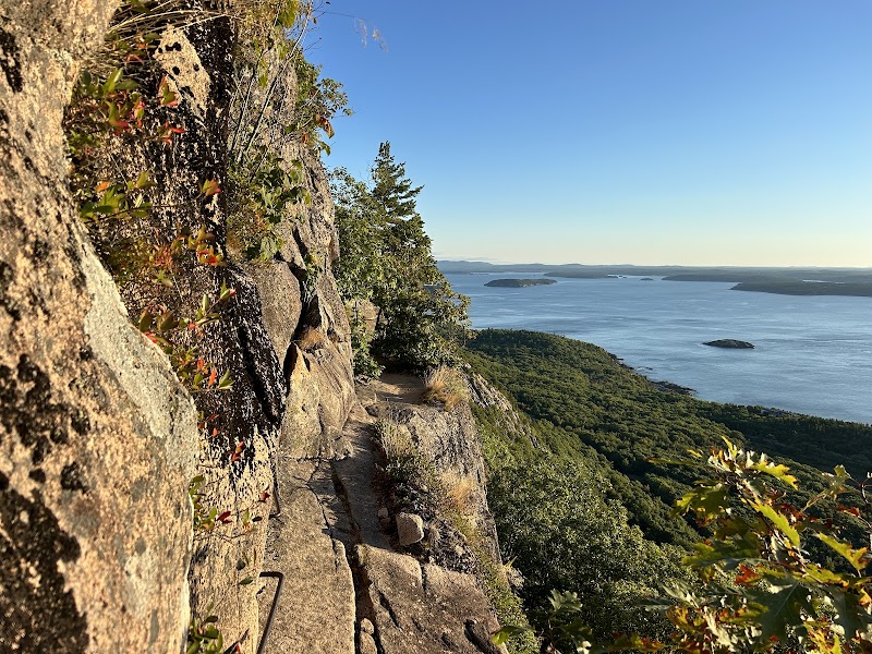 Rugged stone trail along a cliff in Acadia National Park with sea in the distance and pine trees.