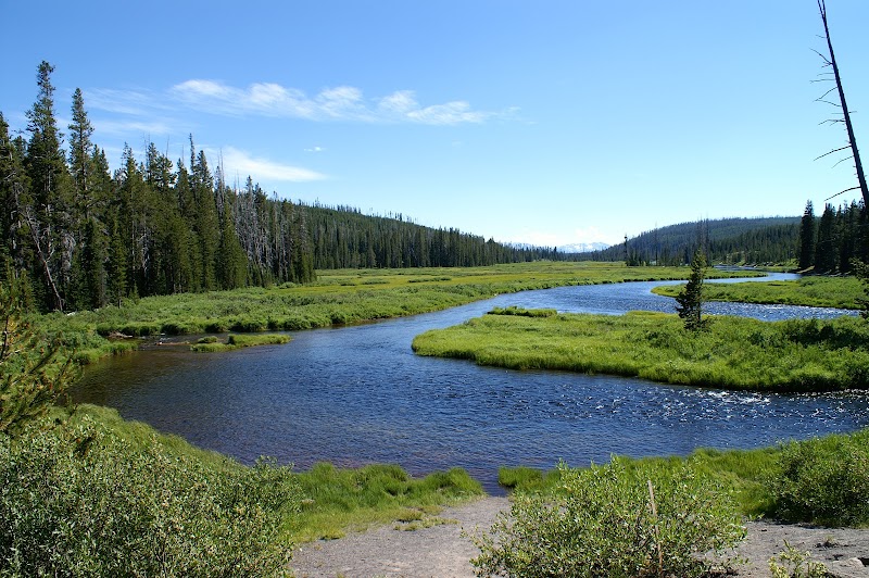 Meandering blue river through grassy green meadows bordered by evergreen forest under a bright blue sky in Yellowstone National Park.