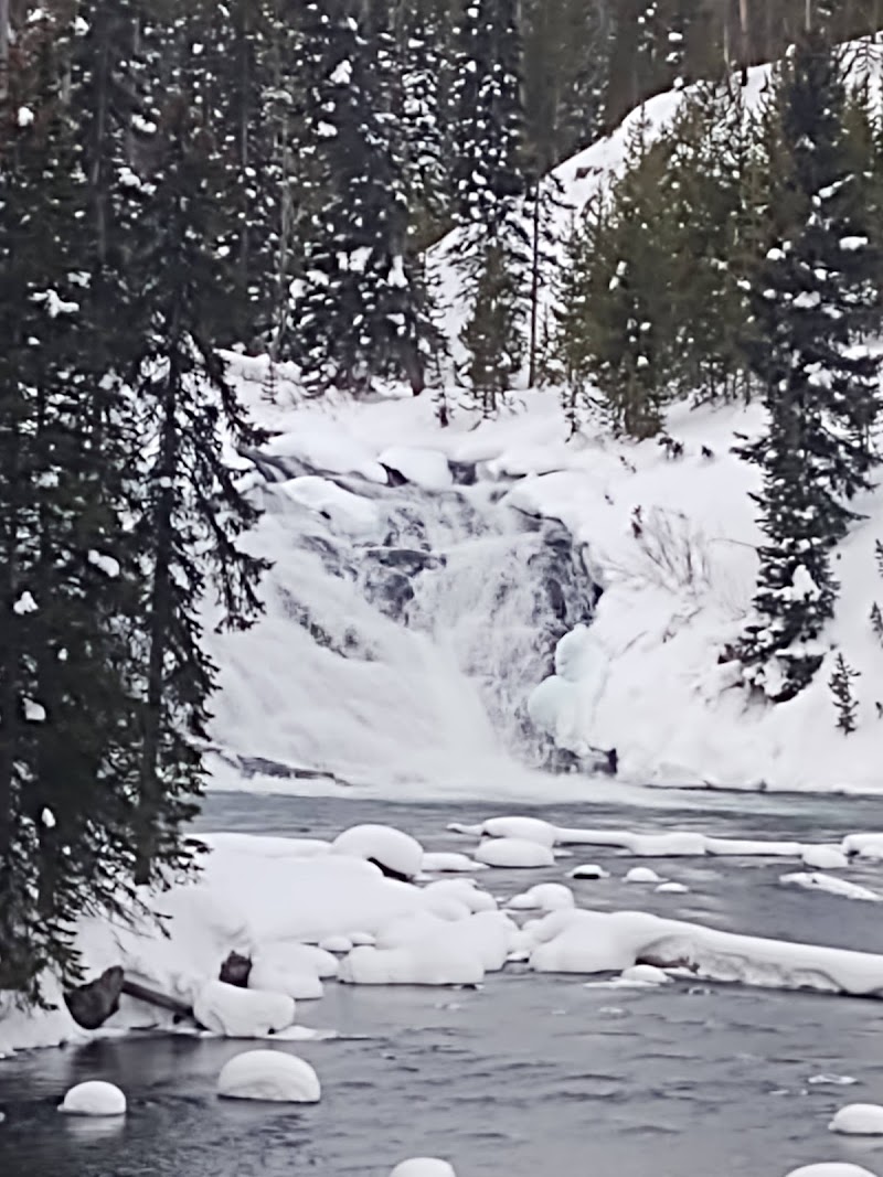 Snowy forest surrounds a partially frozen river feeding a small waterfall at Lewis Falls in Yellowstone National Park.