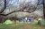 Pack Creek Mobile Home Park campground tents sit beneath arching trees in Arches National Park.