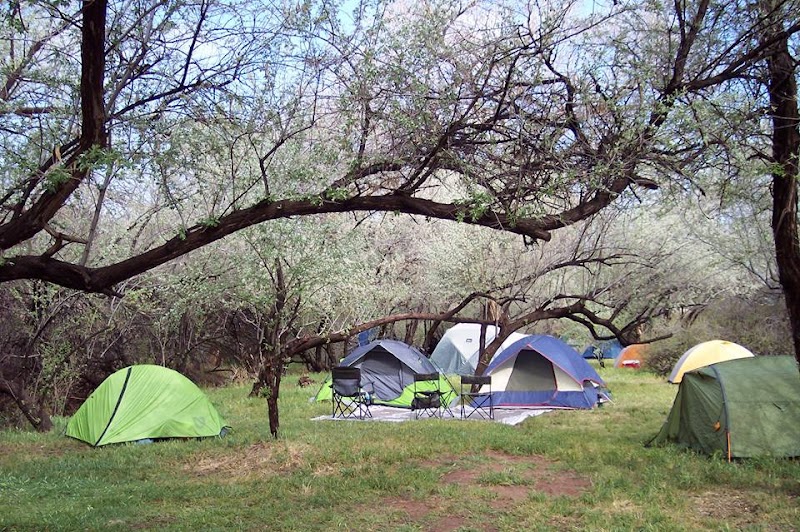 Pack Creek Mobile Home Park campground tents sit beneath arching trees in Arches National Park.