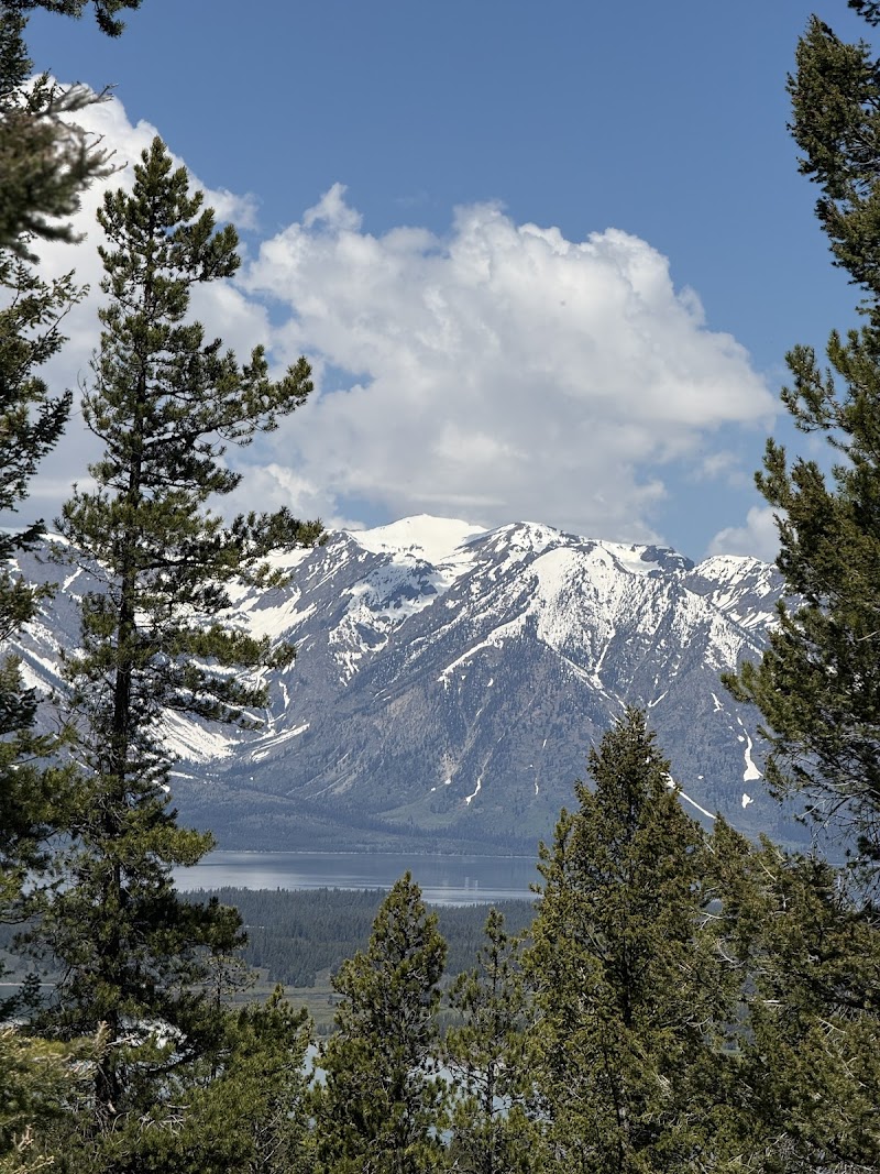 Snowy mountain peaks rise over a glassy lake, framed by tall pines in Yellowstone National Park.