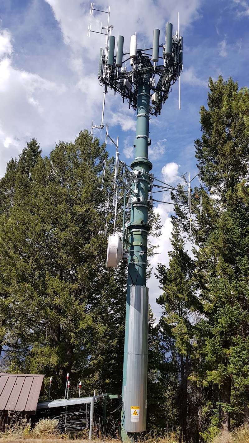 Tall green cellular tower with numerous antennas rises among evergreen trees under a blue sky in Yellowstone National Park.