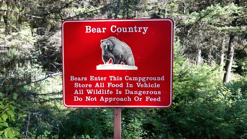 Red rectangular sign with a bear graphic and white text about bears, set among trees in Glacier National Park.
