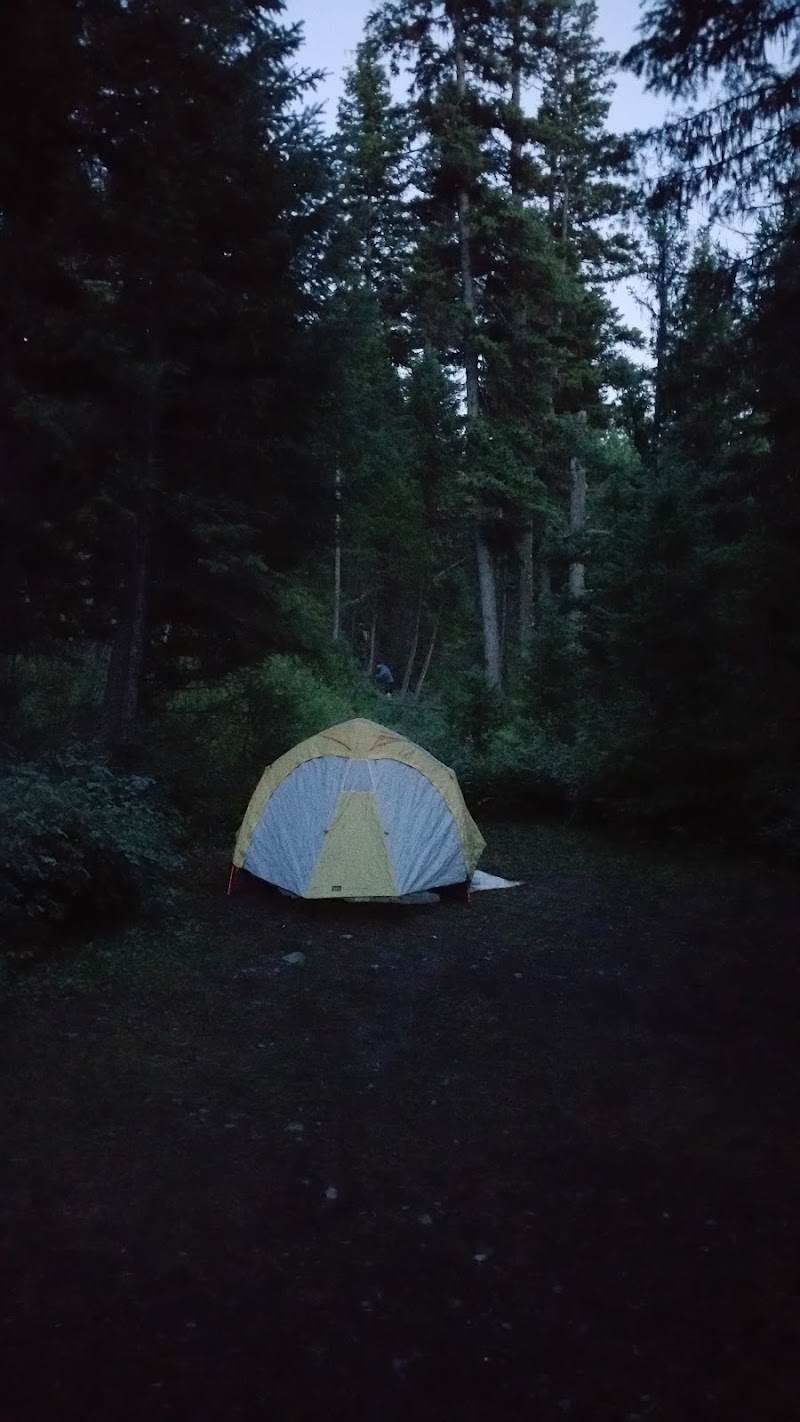 Yellow and gray tent pitched on a dark forest floor at Quartz Creek in Glacier National Park, with tall pines surrounding.
