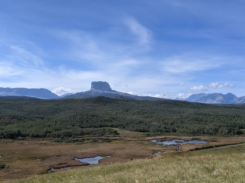 Mountain View overlook in Glacier National Park offers a broad valley, forested ridges, and a distant flat-topped peak under blue skies.