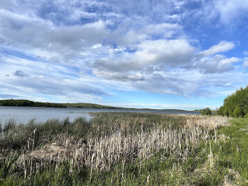 A lakeside scene at Mountain View in Glacier National Park, with tall grasses along the shore and a broad blue sky.