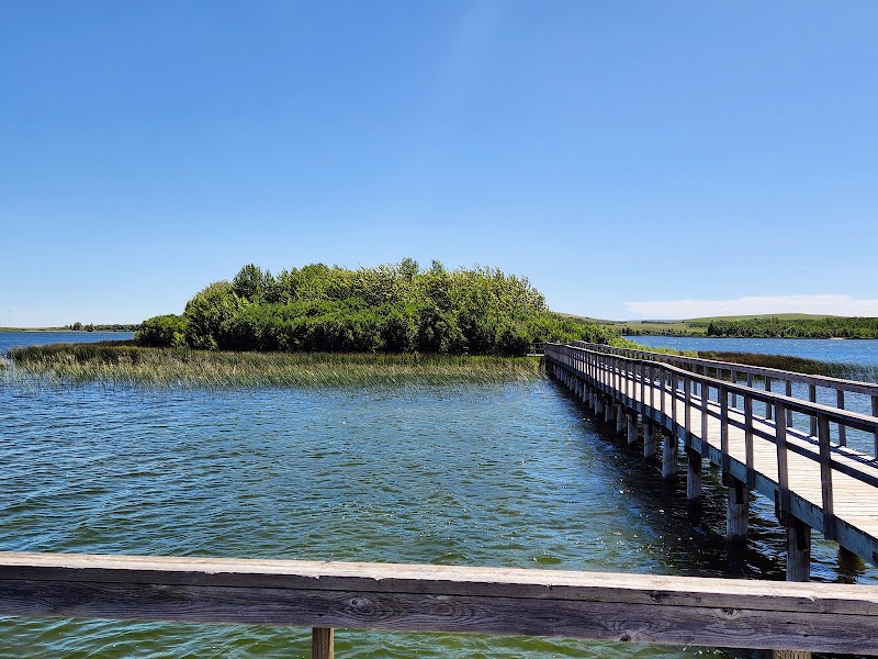 A wooden boardwalk extends over a calm glacier lake toward a shrub-covered island in Glacier National Park.