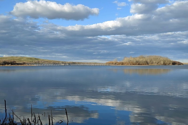 Mountain View at Glacier National Park overlooks a tranquil lake with a distant boardwalk and island.