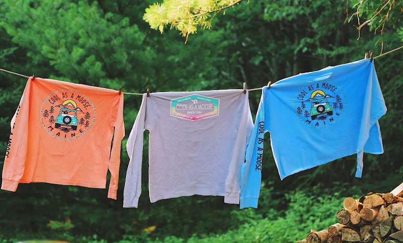 Three brightly colored shirts with circular logos hang on a clothesline in Acadia National Park.