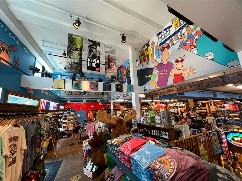 Bright gift shop interior at Acadia National Park with moose plush, colorful shirts, posters, and shelves full of souvenirs.