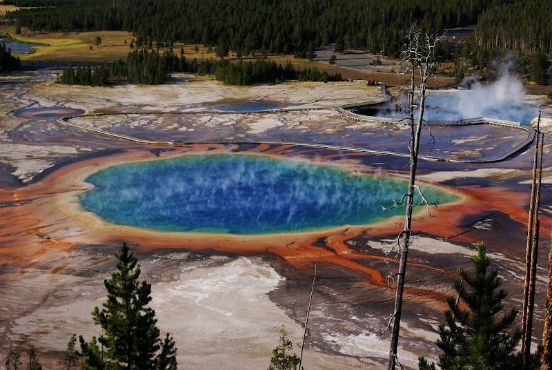Colorful hot spring with blue center, orange and red rim, wooden boardwalks and steam in Yellowstone National Park.