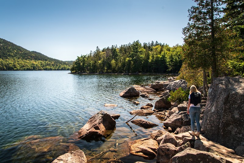 Jordan Pond shoreline along granite rocks and pines in Acadia National Park on a sunny summer day