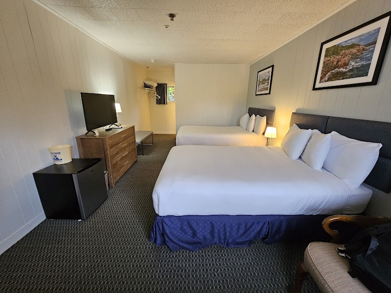 Two queen beds with white linens, a dresser with TV, framed coastal photos, and a lamp in a cozy Acadia National Park room.
