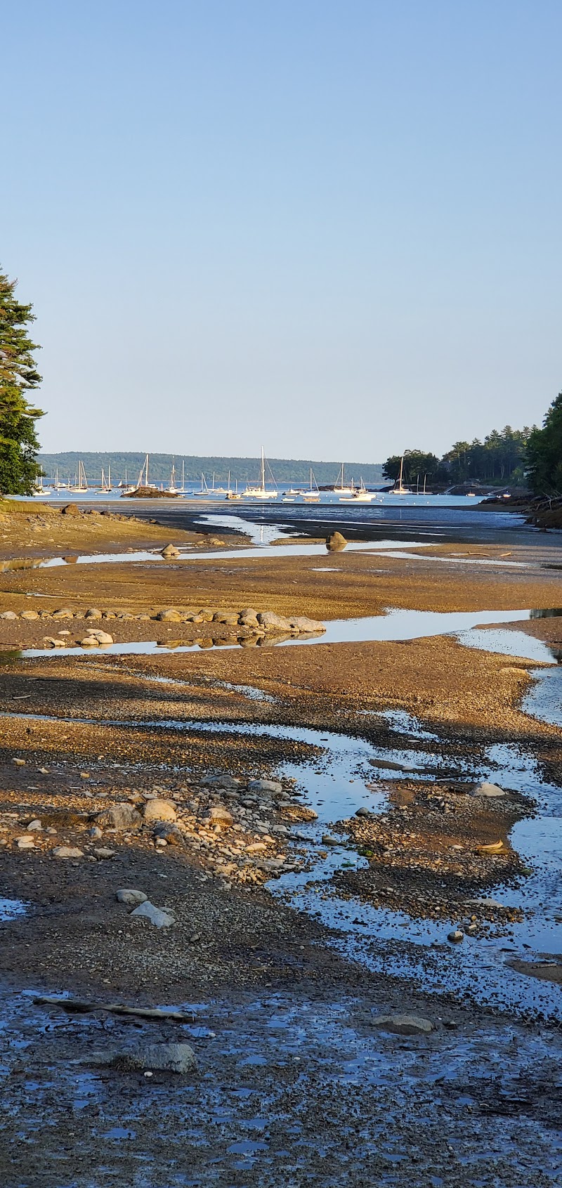Blue Hill Harbor scene along Acadia National Park’s coastline, with moored sailboats and rocky shoreline.