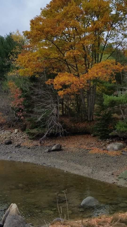 Autumn colors frame Blue Hill lakeside in Acadia National Park, with orange-leaved trees along a rocky shoreline.
