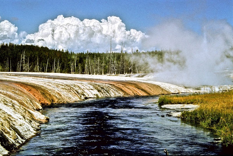 Sunset Lake winds along mineral terraces with steam and a dark river beside a forest edge in Yellowstone National Park.